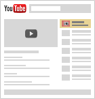 trueview_display