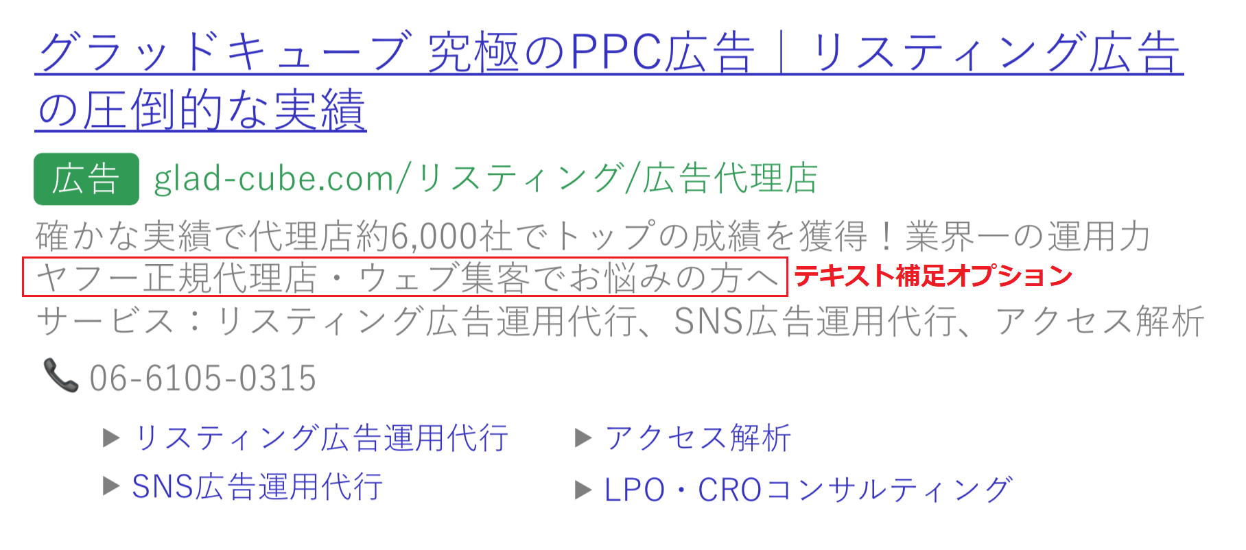 テキスト補足オプション