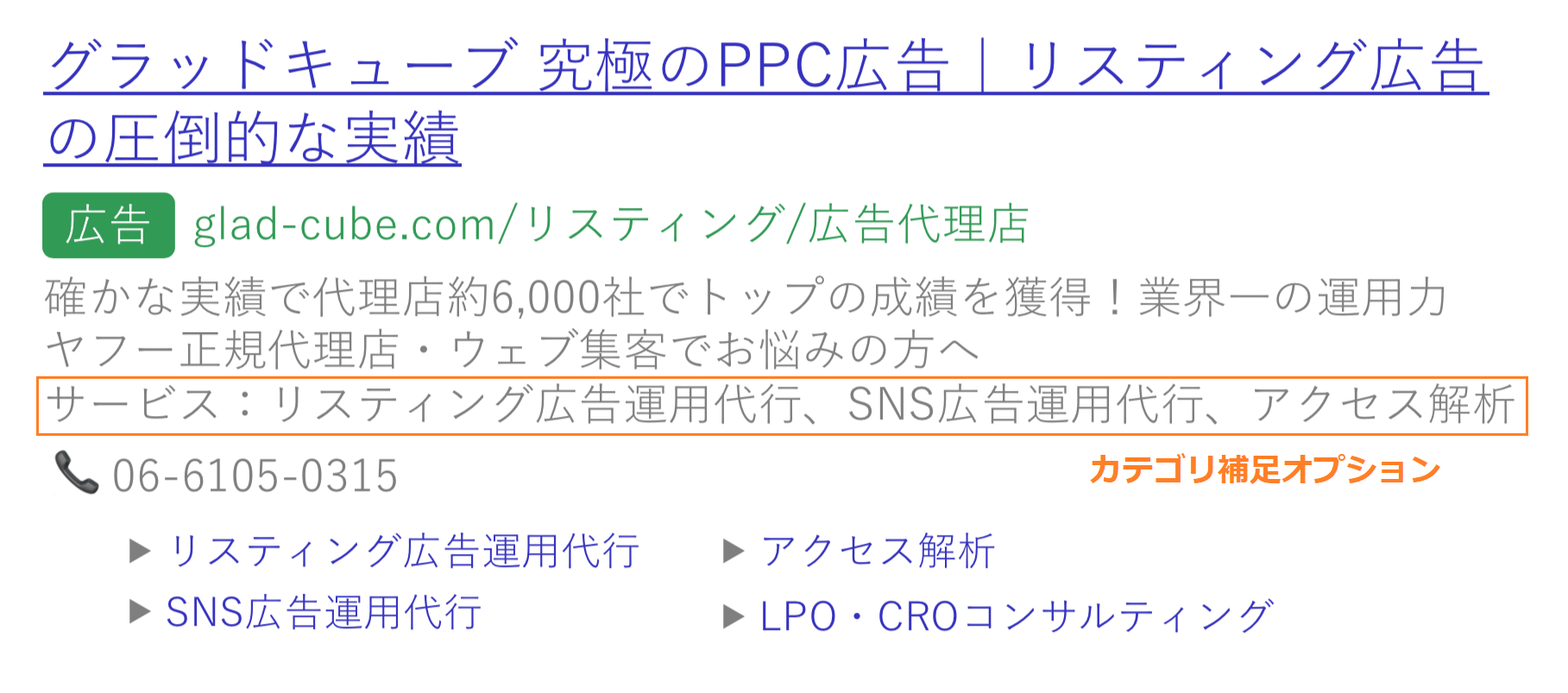 カテゴリ補足オプション2