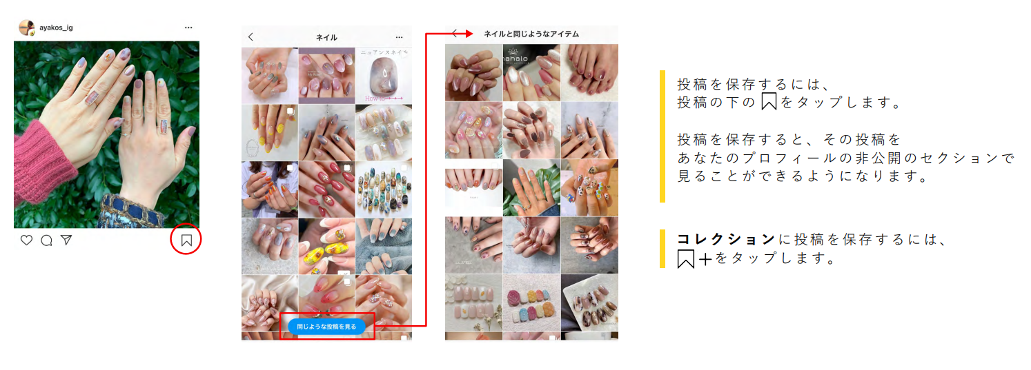 フィード3