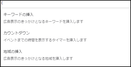 RSAオプション機能