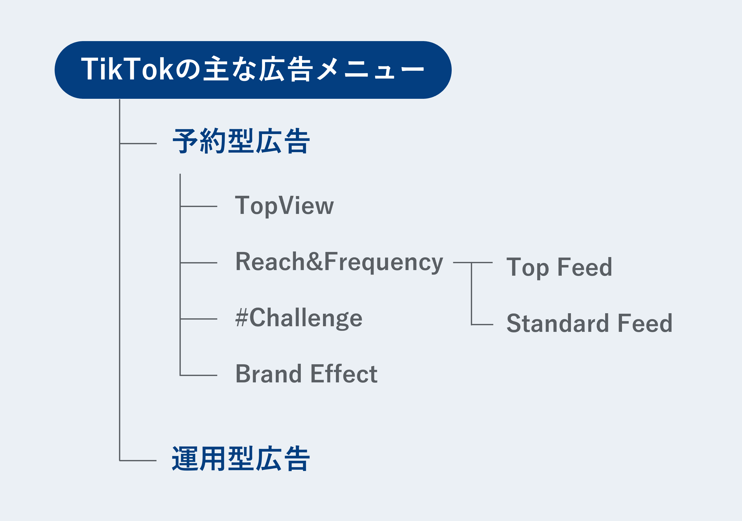 TikTok広告メニュー (1)